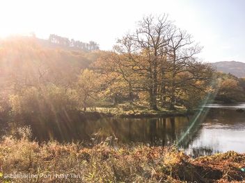 Rydal Water, Ambleside, Lake District - Kostenloses image #465563