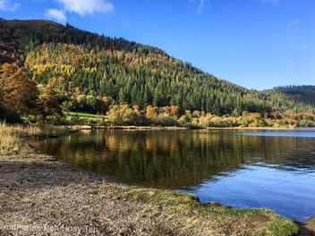 Bassenthwaite Lake National Nature Reserve, Lake District, Cumbria, England - image gratuit #465663 