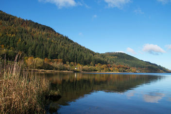 Bassenthwaite Lake National Nature Reserve, Derwent water, Cumbria, Lake District - Kostenloses image #466593