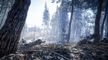 TheHunter: Call of the Wild / Heading In - Free image #466793
