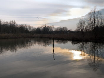 Wetland. LIPU oasis in Racconigi. - Kostenloses image #468243