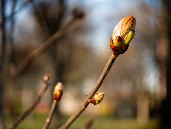 Spring time - image gratuit #468733 