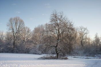 Winter in the park. Best viewed large. - бесплатный image #469813