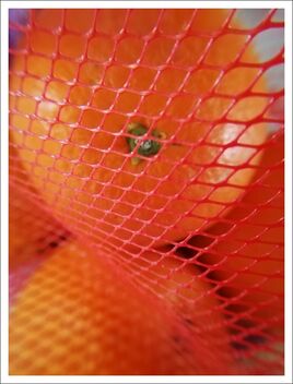 oranges in mesh bag - бесплатный image #470853