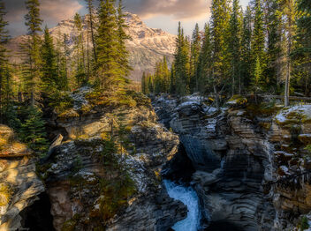 Jasper NP (Alberta, Canada) - image gratuit #471933 