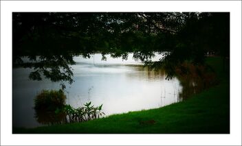 punggol park - the lake - image gratuit #474443 