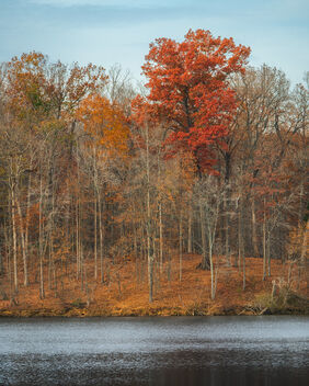 Waning Colors of Lake Needwood - image #485133 gratis