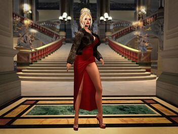 A Night at the Opera! - Kostenloses image #485803