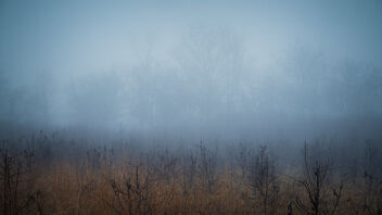 Foggy Field - image gratuit #486303 