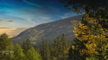 Rocky Mountain National Park - Kostenloses image #490363