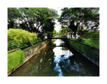 Canal with overgrown - image gratuit #492403 
