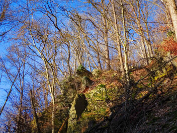 Rock in the Wupper Gorge - Free image #496973