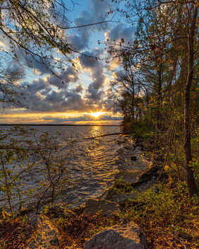 Lake Marion Sunrise (South Carolina) - image #497793 gratis