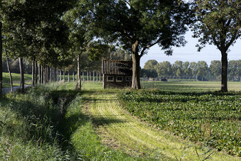 Historical barn, Biesbosch -Dordrecht - image gratuit #501193 
