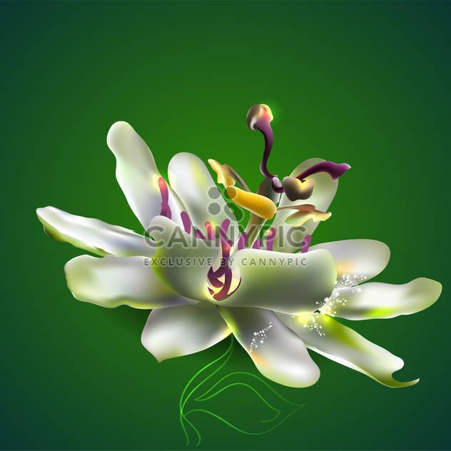 Vector illustration of passion flower on green background - vector gratuit #128953 
