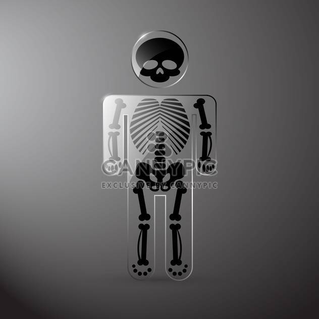 Vector glassy anatomy skeleton on grey background - Kostenloses vector #130023