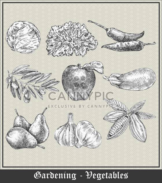 vintage banner with vegetables and fruits - vector gratuit #135073 