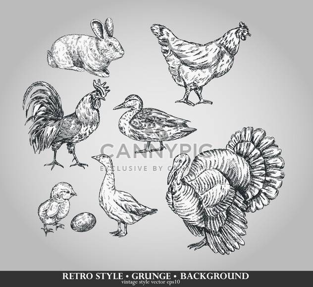 farm birds sketch retro set - Free vector #135103