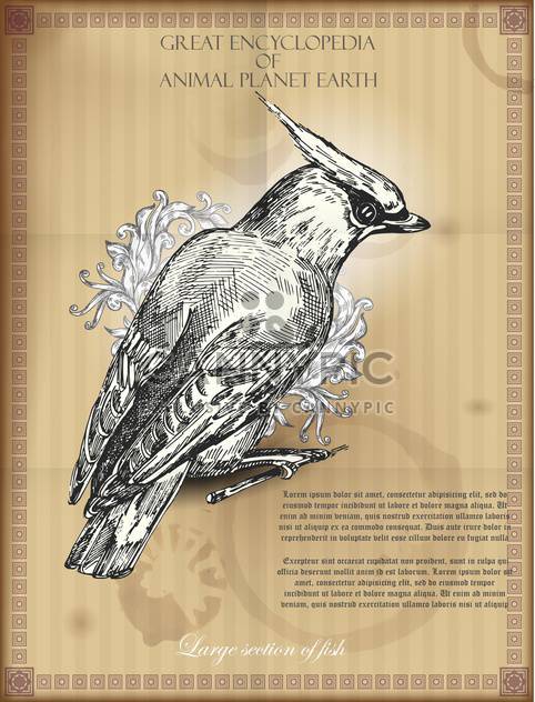 Bohemian Waxwing from Great Encyclopedia of Animal - vector gratuit #135313 