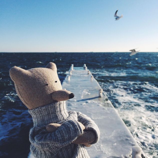 A bear is standing and thinking on the sea pier - бесплатный image #136423