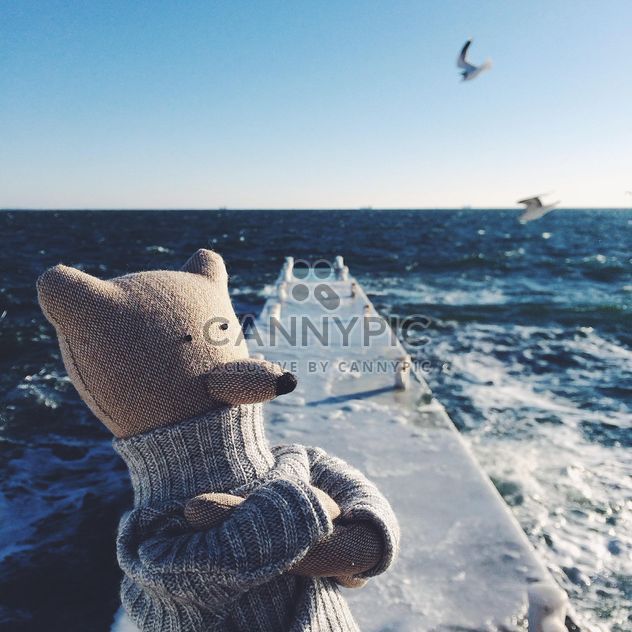A bear is standing and thinking on the sea pier - Free image #136423