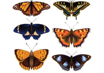 Vector butterfly - Kostenloses vector #141523