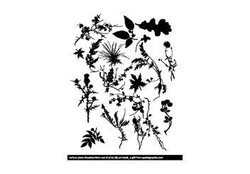 Plant Silhouette Vectors - бесплатный vector #145993