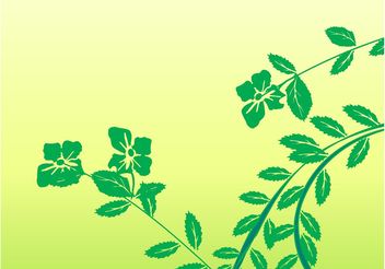 Spring Branches - Free vector #146373