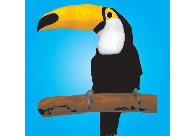 Toucan Bird - Kostenloses vector #157343