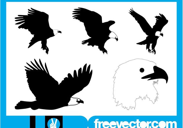 Bald Eagle Graphics - vector #157803 gratis