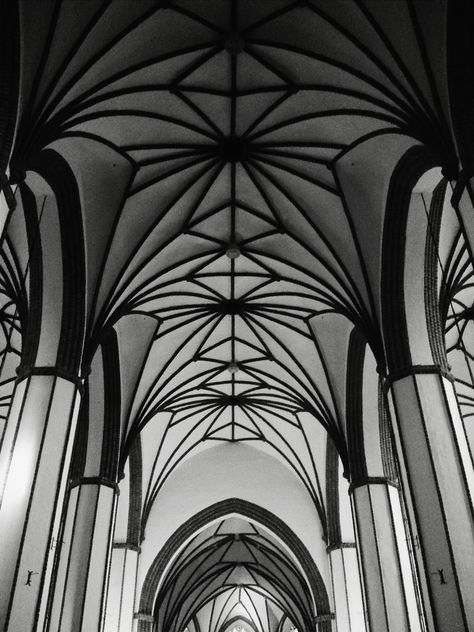 #cathedral #gothic #architecture #lines #geometry #blackandwhite #bnw #monochrome - Free image #183643