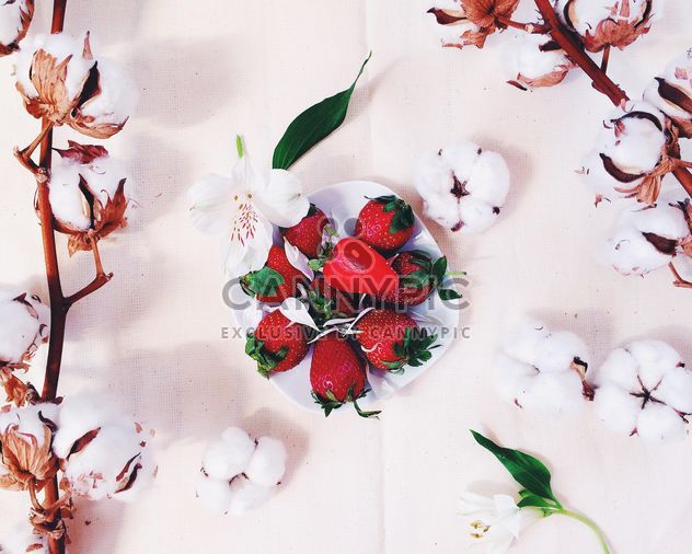 strawberry with cotton blossom - бесплатный image #184163