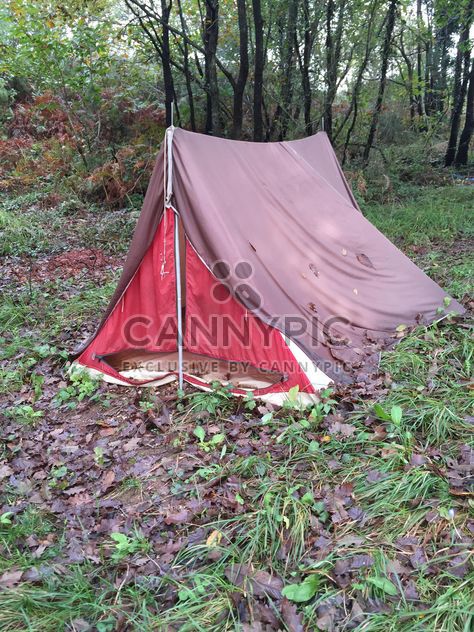 tent in nature - image gratuit #185803 