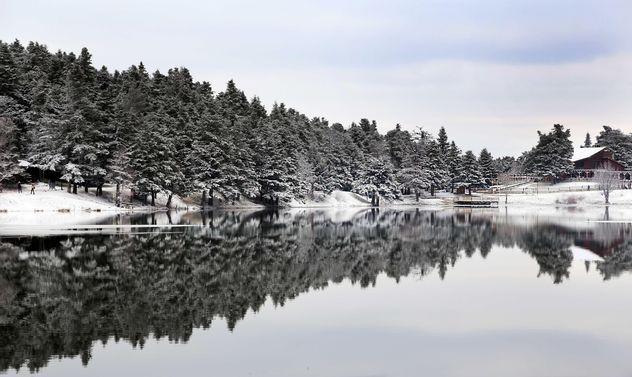 Pond in winter - Kostenloses image #185953
