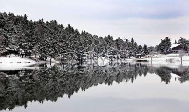 Pond in winter - image #185953 gratis