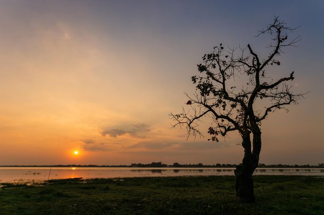 Tree on shore of river at sunset - image gratuit #186073 