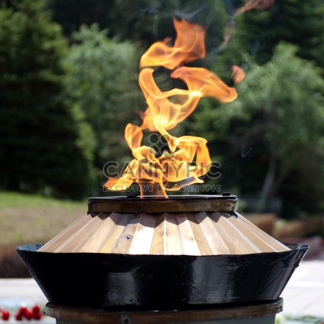 Burning eternal flame - image #186743 gratis