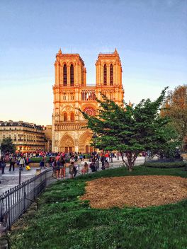 Notre Dame cathedral in Paris - бесплатный image #186853