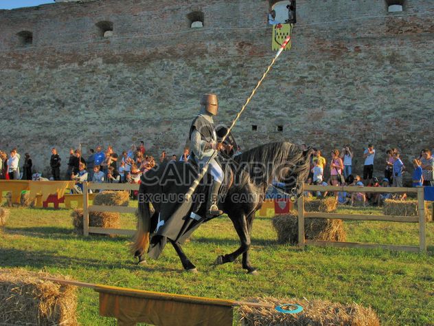 Medieval knight with spear - бесплатный image #198113