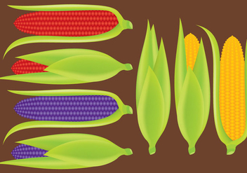 Ears of Corn Vectors - vector #200543 gratis