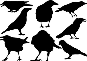 Free Raven Silhouette Vector - Free vector #200613