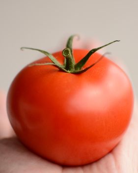 Tomato - image #201443 gratis