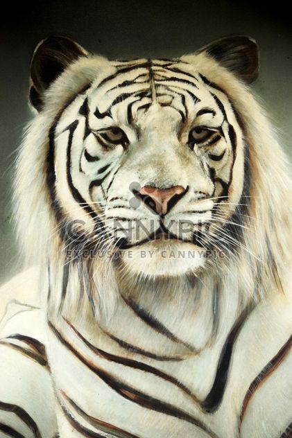 White tiger - image #201673 gratis