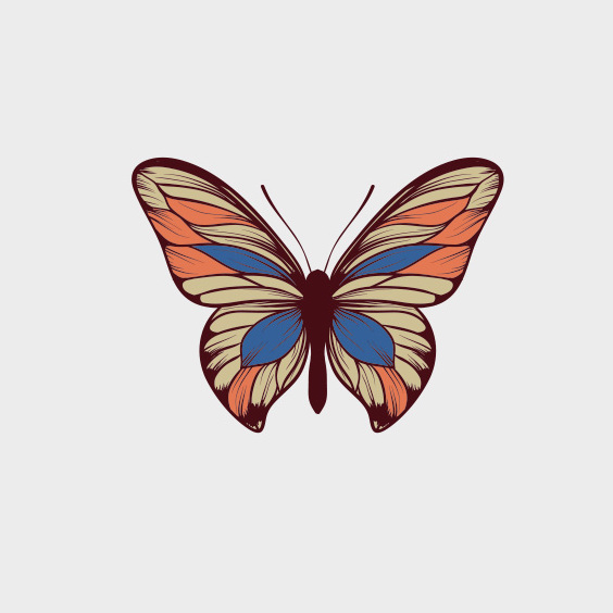 Free Vector Butterfly - Kostenloses vector #201873