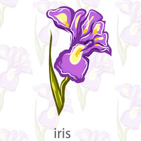 Vector Flower Iris - Free vector #203973