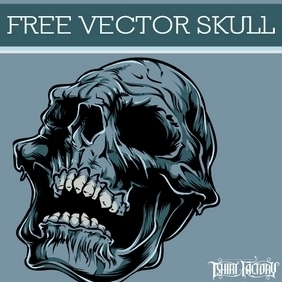 Decomposing Skull - vector gratuit #208083 