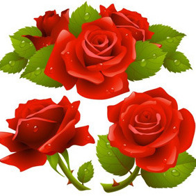 Red Realistic Roses - Kostenloses vector #209703