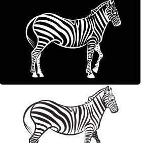Zebra Vector Image - Kostenloses vector #211473