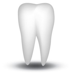 Vector White Tooth - Free vector #213953