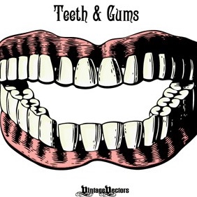 Set Of Teeth And Gums - Free vector #216723